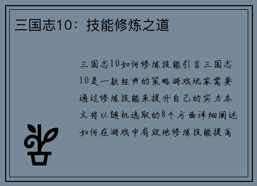 三国志10：技能修炼之道